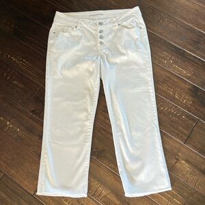 Maurices cropped pant.